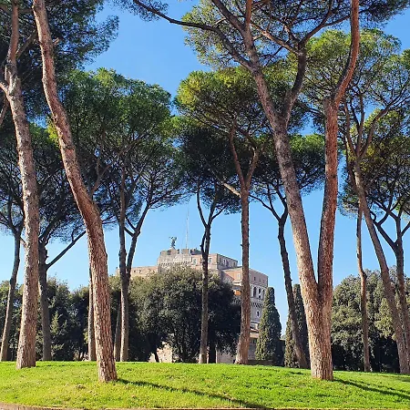 Coronari 28 Ρώμη